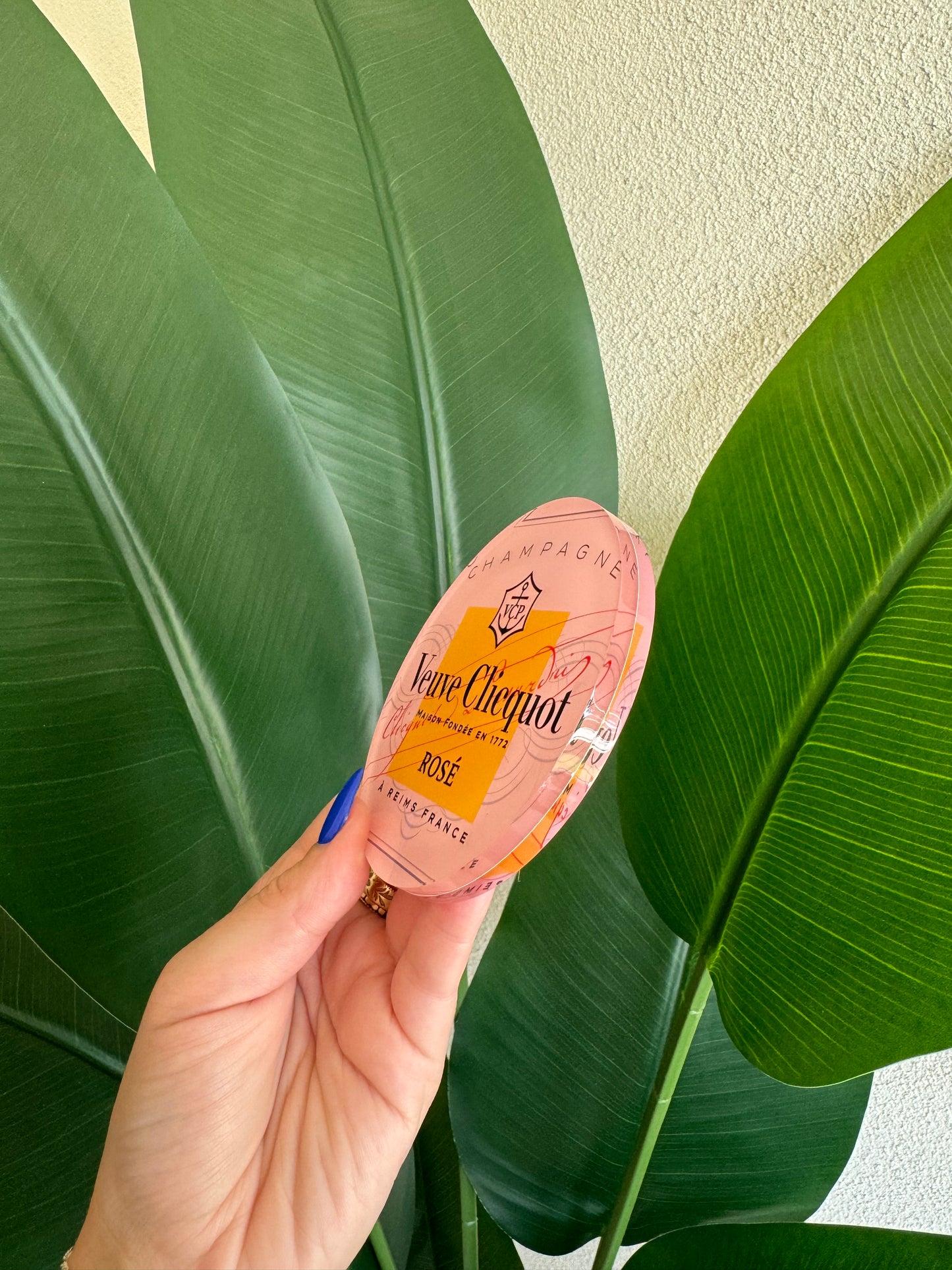 Rose Champagne Coasters