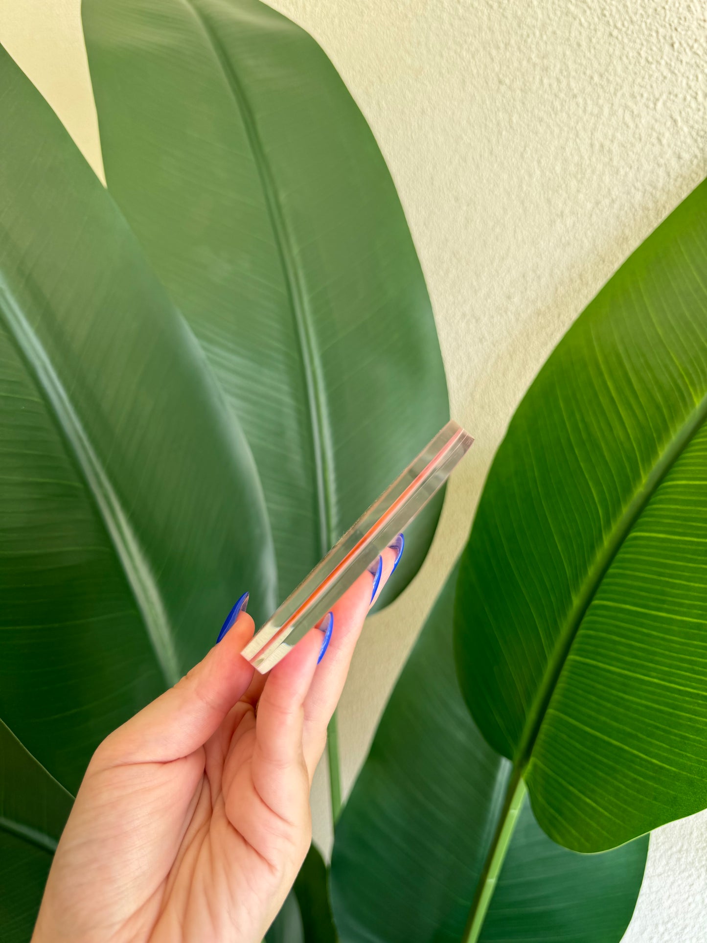 Rose Champagne Coasters