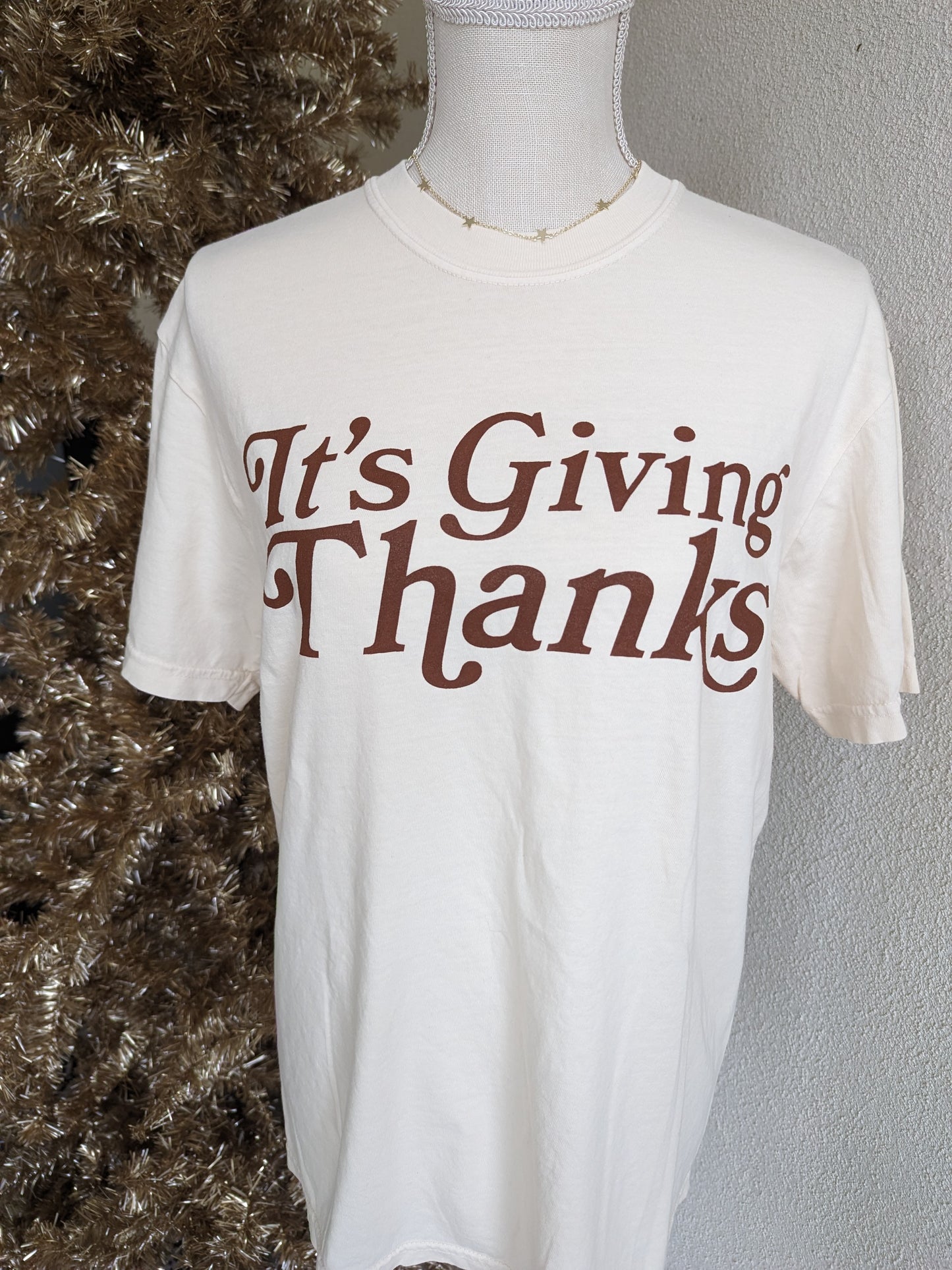 It's Giving Thanks T-Shirt
