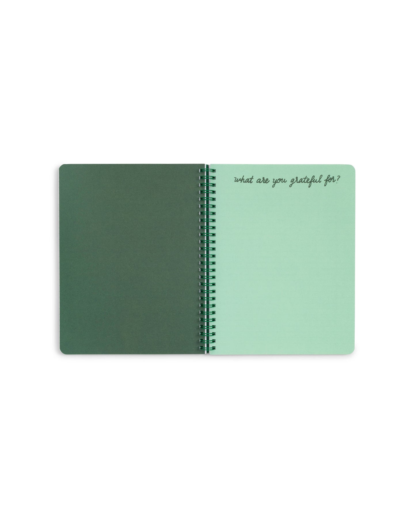 Rough Draft Mini Notebook , Emerald Super Bloom