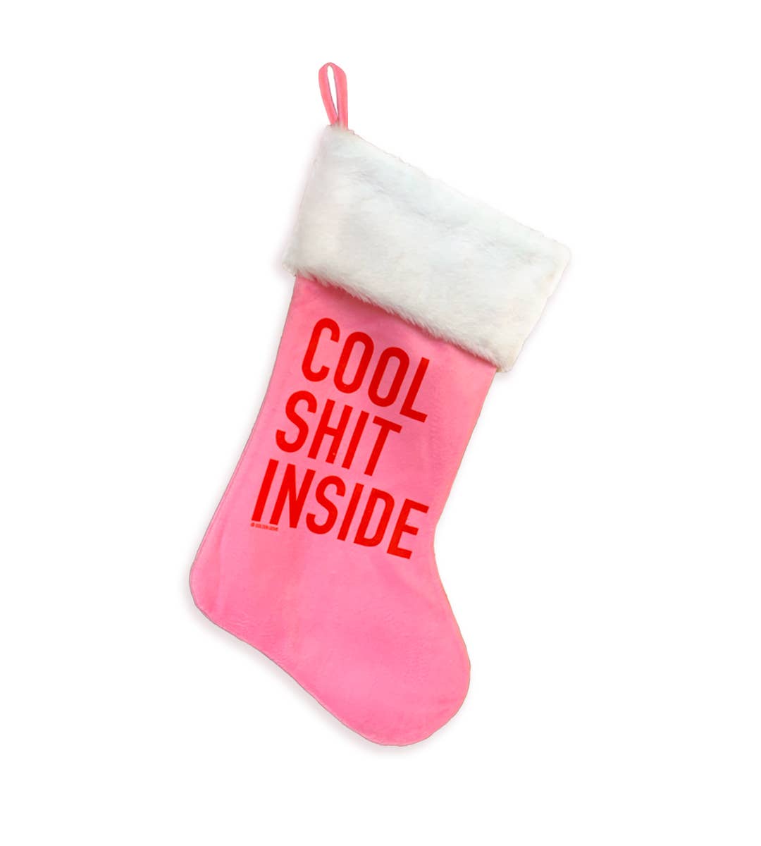 Cool Shit Inside Stocking