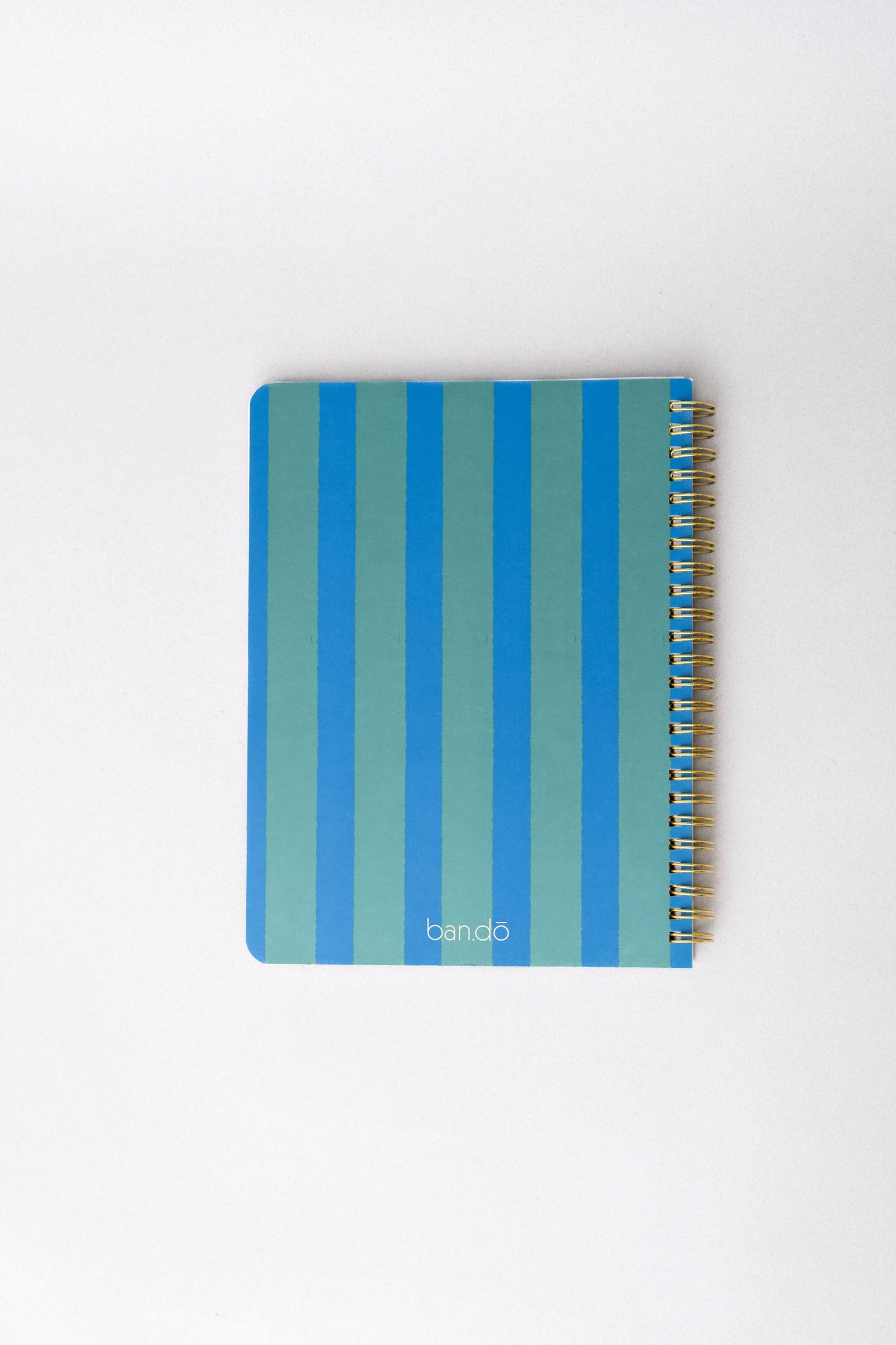 Rough Draft Mini Notebook, Before I Forget