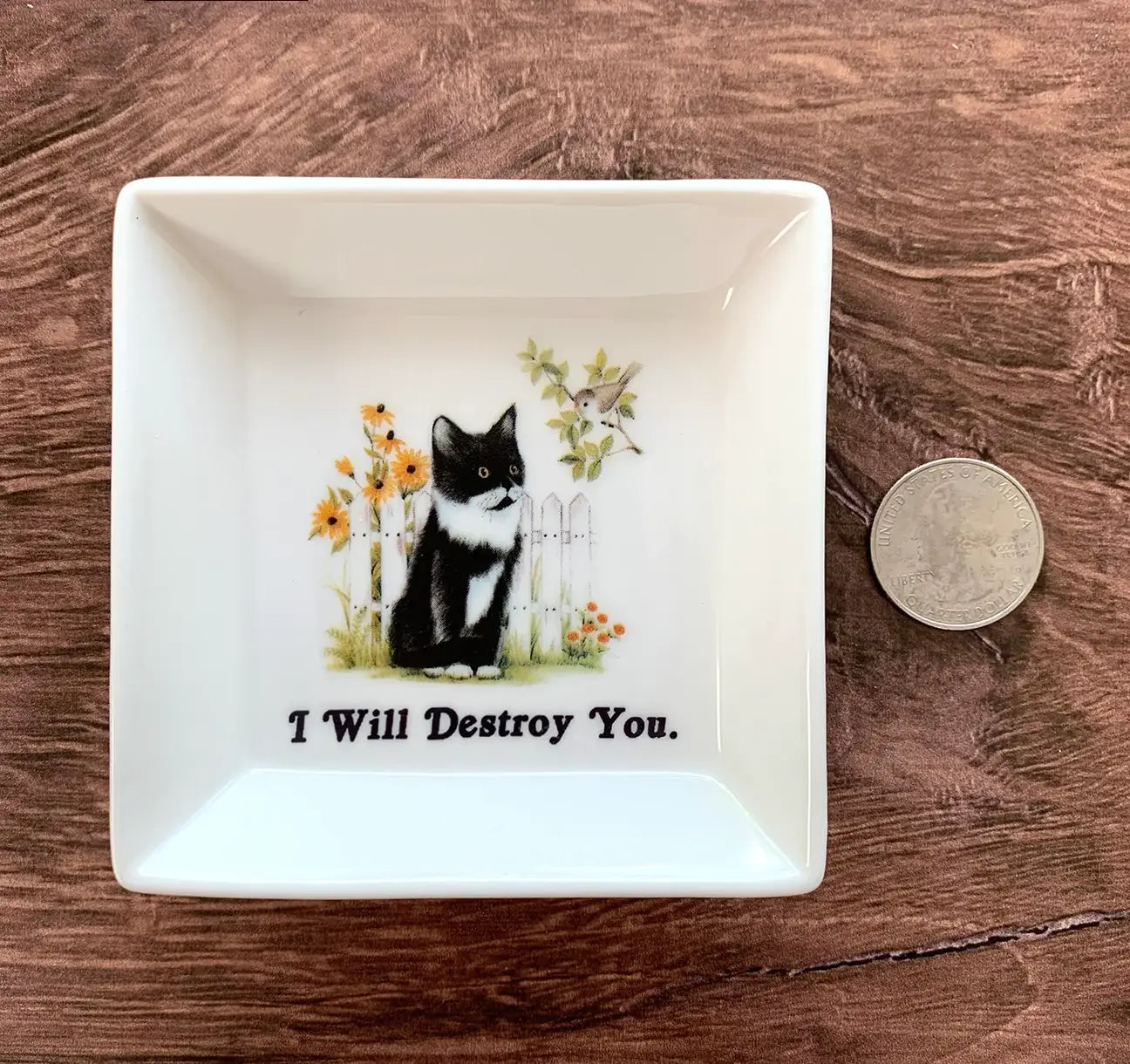 I Will Destroy You Cat Trinket Tray