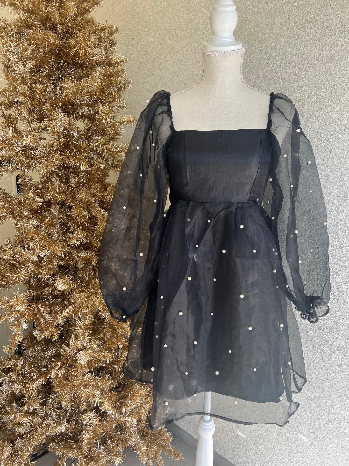 Organza and Pearl Mini Dress