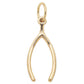 Lucky Wishbone Charm
