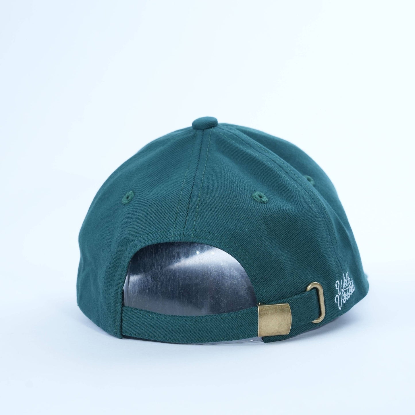 Dramione Bookish Baseball Hat